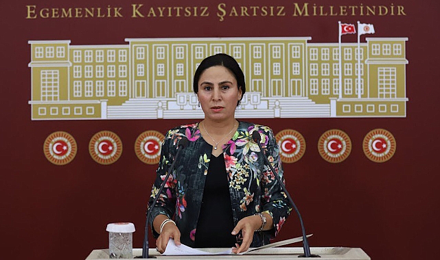 Sürücü, deprem bölgesindeki eğitim sorununu TBMM’ye taşıdı 