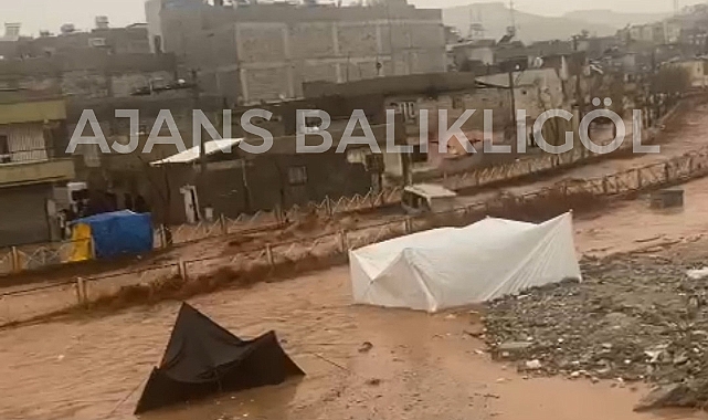 Urfa'da Karakoyun Deresi taştı! Sular araçları sürükledi