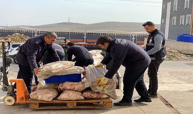 Urfa’da tonlarca bozuk tavuk ve sakatat ele geçirildi