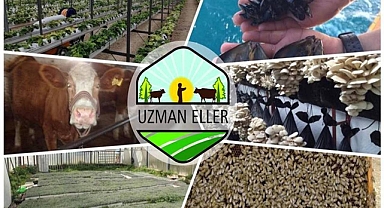 Uzman Eller Projeleri için başvurular başladı