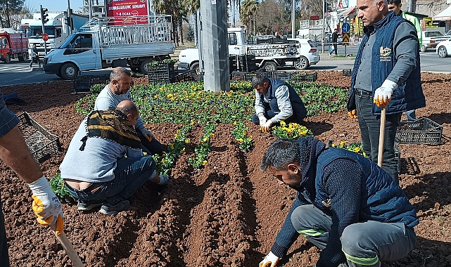 Viranşehir Belediyesi, kavşak ve refüjleri gül ve çiçeklerle donatıyor