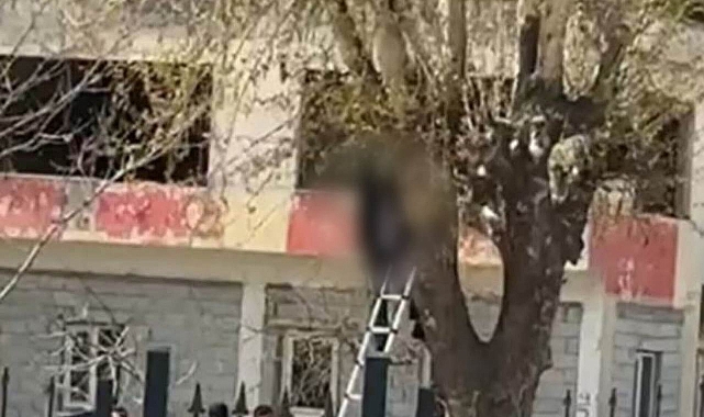 23 yaşındaki genç ağaca asılı halde bulundu