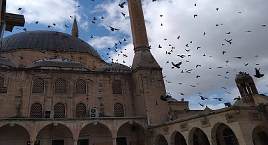Şanlıurfa’da 5 kişi hayatını kaybetti