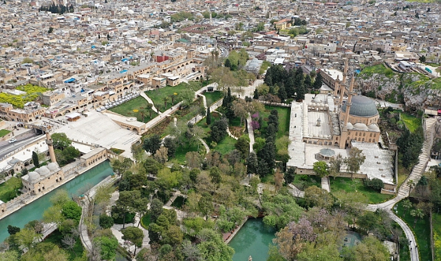 Urfa'da 2'si kadın 7 kişi hayatını kaybetti