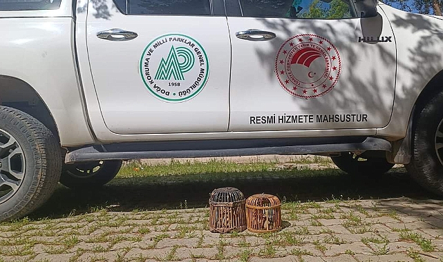 Urfa'da kaçak avcıya idari ceza uygulandı