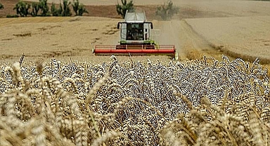 Hububat ve bakliyat fiyatları açıklandı! Buğday kaç TL oldu?