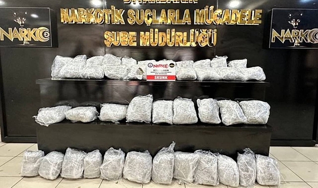 Kökünü Kurutma operasyonu! 2 gözaltı