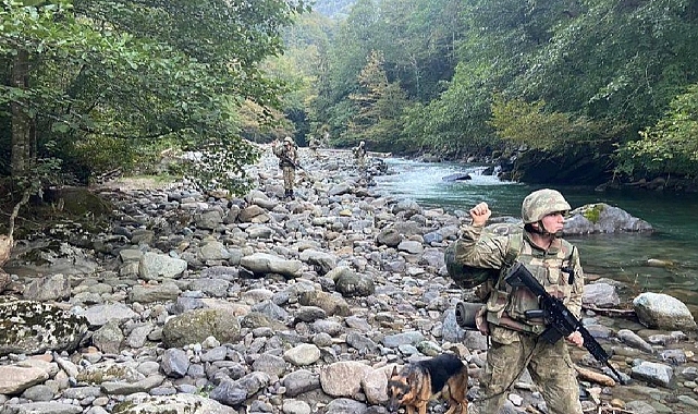 Türkiye'ye zorla gönderilmeye çalışılan çok sayıda kişi yakalandı