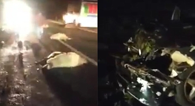 Urfa'da katliam gibi kaza!  Araç sürüye daldı