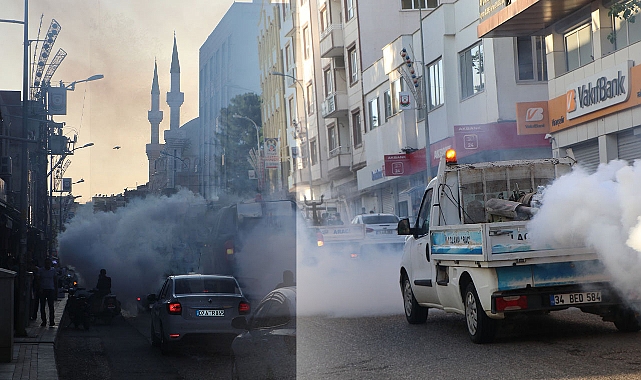Viranşehir Belediyesinden haşerlere karşı ilaçlama çalışması 