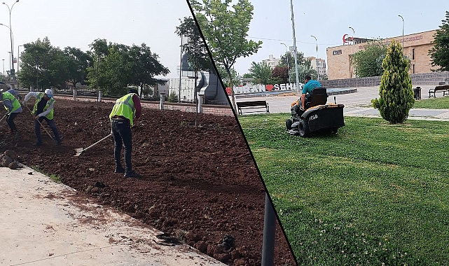 Viranşehir’de yeşil alanlarda bakım, onarım ve yenileme çalışmaları