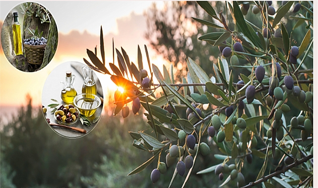 AB tescilleri hız kesmiyor! Aralarında Urfa da var
