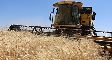 Hububat alımları devam ediyor