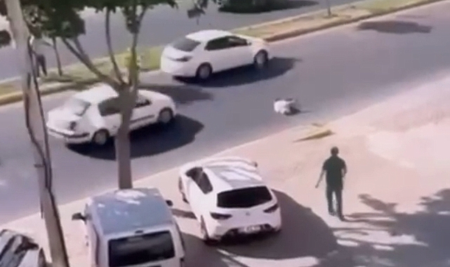 Kaçan kurbanlık koyun, araç çarpması sonucu telef oldu