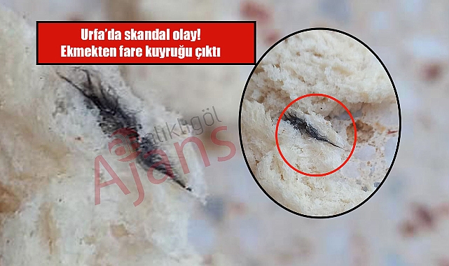 Şanlıurfa’da ekmeğin içinden fare kuyruğu çıktı!