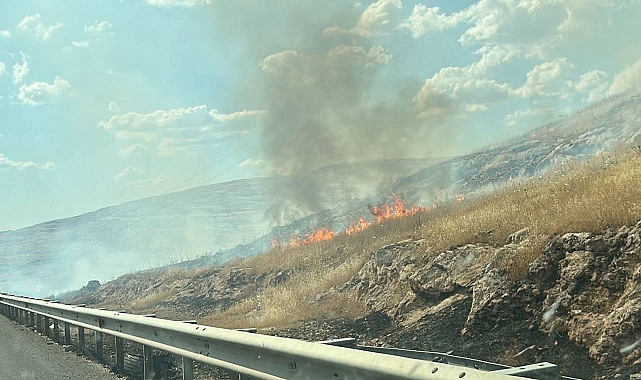 Şanlıurfa'da mera alanında çıkan yangın yayılıyor