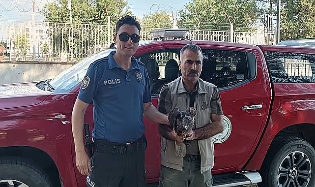Urfa'da bulunan Kızıl Şahin tedavi altına alındı