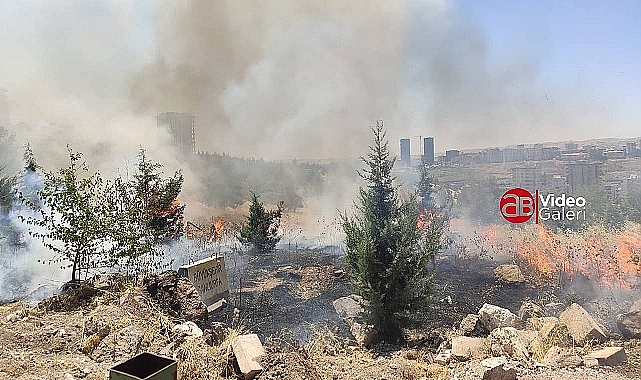 Karaköprü'de ormanı yakmaya çalışan şahıs tutuklandı