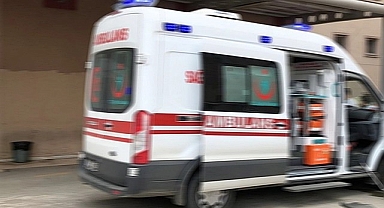 Siverek'te kuduz vakası! 1 kişi tedavi altına alındı