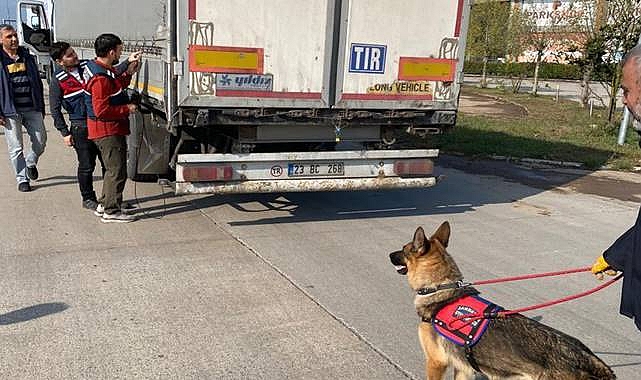 Göçmen kaçaklığı operasyonu! 39 organizatör yakalandı