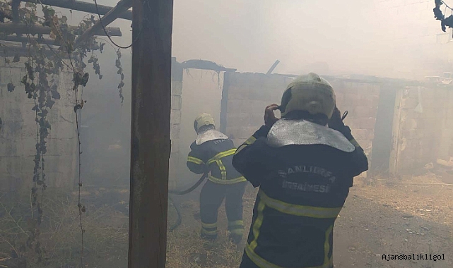 Şanlıurfa'da çıkan mesken yangını korkuttu