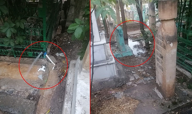 Şanlıurfa'da mezarlara zarar veriyorlar!