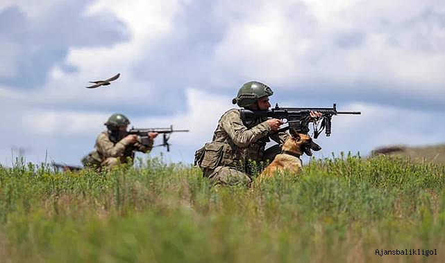 Türkiye’ye yasa dışı yollarla geçmeye çalışan 12 kişi yakalandı