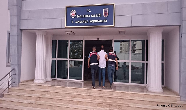 Urfa’da 15 yıl önce kardeşini katleden cinayet zanlısı yakalandı
