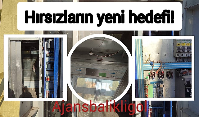Urfa'da hırsızlar bu sefer bakın nerelere dadandı!