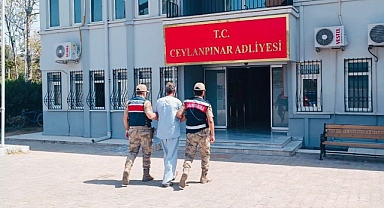Urfa'da köpeğe tecavüz eden şahıs tutuklandı