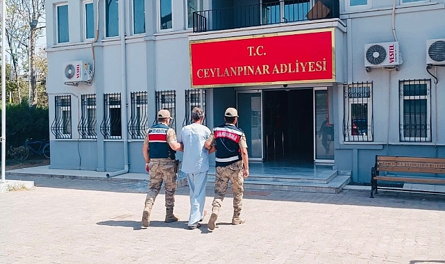 Urfa'da köpeğe tecavüz eden şahıs tutuklandı