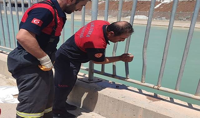 Urfa'da sulama kanalında kadın cesedi bulundu