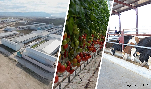 Bakan Yumaklı: Sera OTB sayısını 100'e çıkarmayı hedefliyoruz