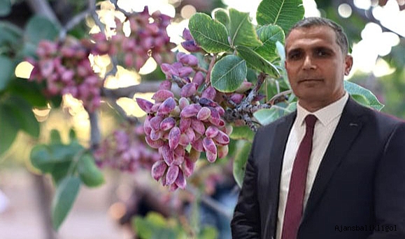 Başkan Aslan: Türkiye’de fıstığın başkenti Şanlıurfa’dır