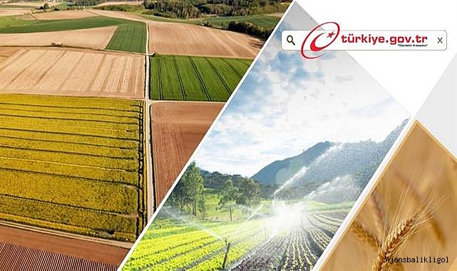 ÇKS başvuruları bugün başladı