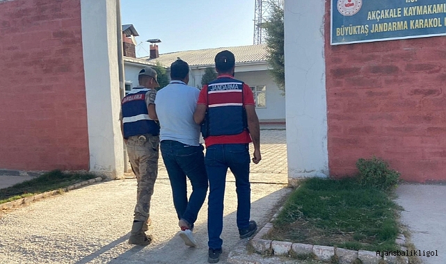Dolandırıcılık suçundan aranan şahıs Urfa'da yakalandı