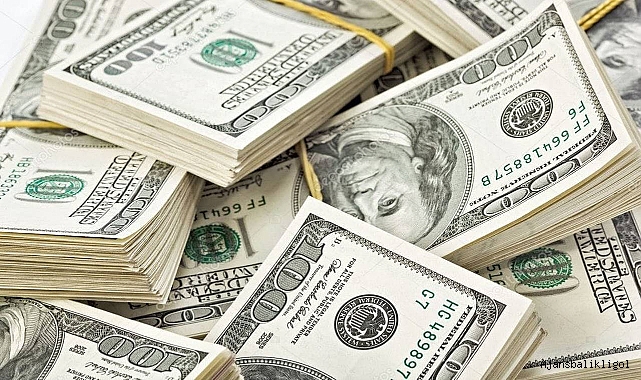Dolar güne kaç TL'den başladı?