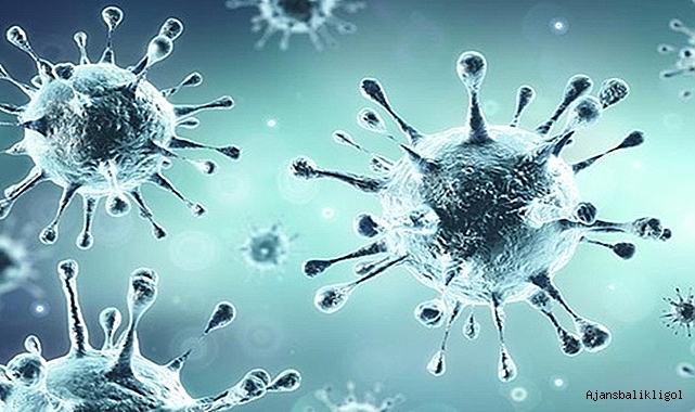 Eris varyantı ile ilgili son durum! Vakalar artmaya başladı