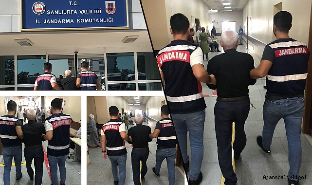 Şanlıurfa'da bir kişi dolandırıcılık suçundan yakalandı