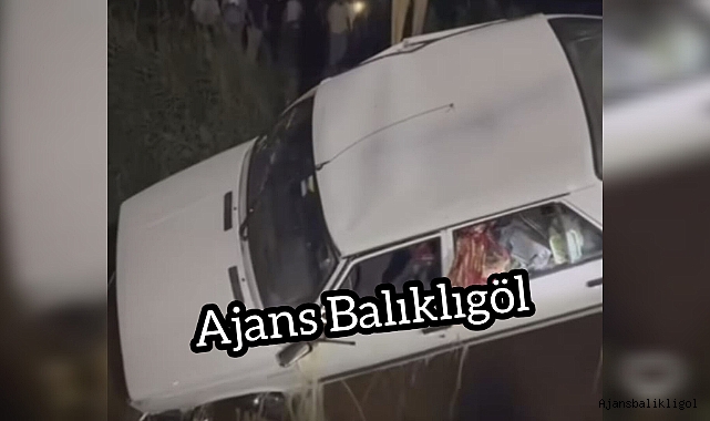 Urfa'da araç kanala uçtu! 3 ölü