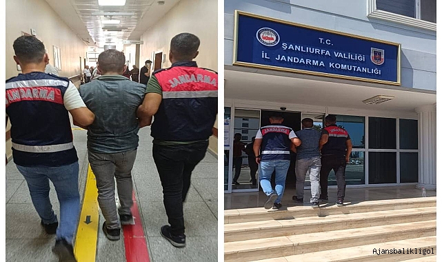 Urfa'da firari şahıs jandarma tarafından kıskıvrak yakalandı 