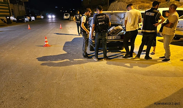 Urfa'da Narkotik Şok Alan Uygulaması! 4 gözaltı