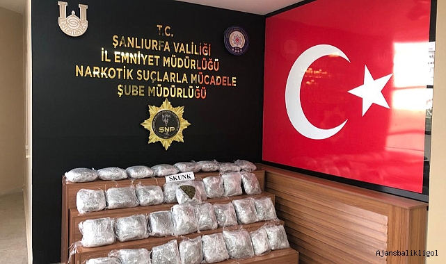 Urfa'da uyuşturucu operasyonu! 1 gözaltı