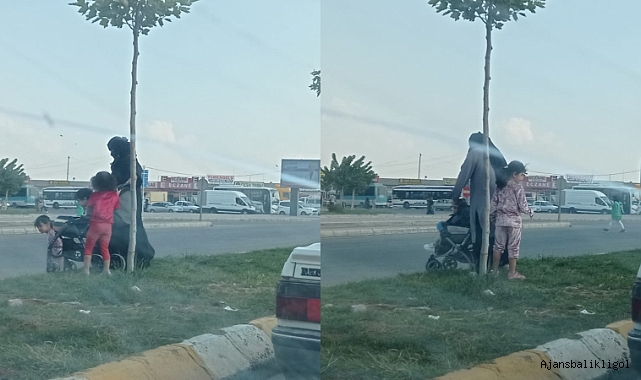 Akçakale yolunda yayaların ölümle dansı
