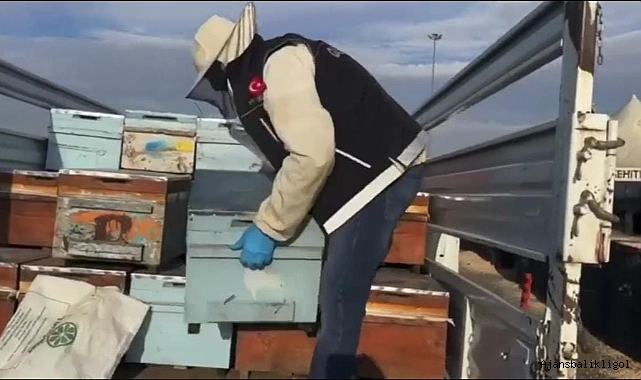 Arı kovanlarında uyuşturucu sevkiyatı