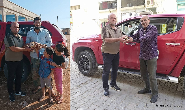 Balaban ve Peçeli Baykuş bulundu
