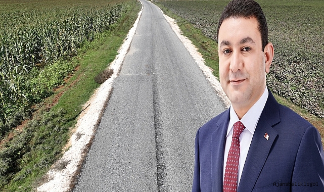 Harran'da asfalt çalışmaları devam ediyor