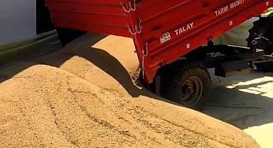 Hububat ve bakliyatta son durum! Buğday kaç liradan satıldı?