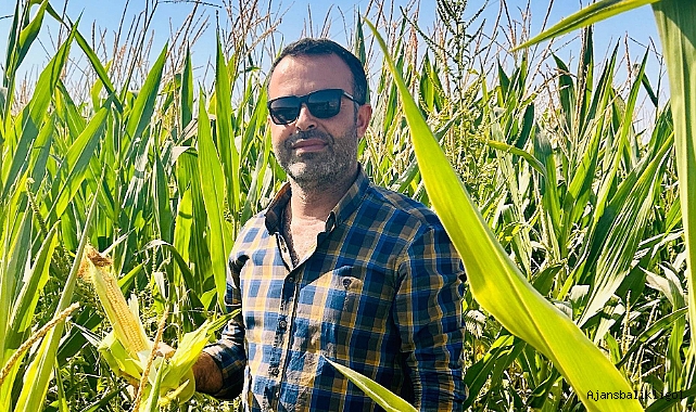 ZMO'dan mısır fiyatı önerisi: Ne kadar olmalı?