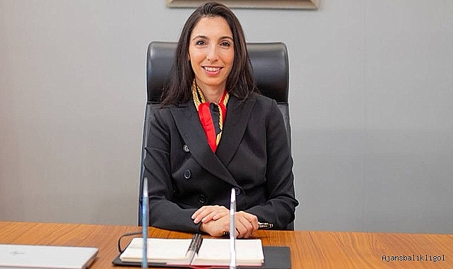 TCMB Başkanı Erkan , enflasyon için 2026'yı işaret etti
